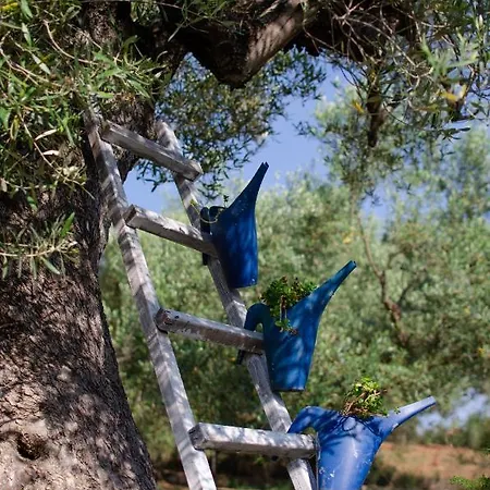 Гостевой дом Makis House 4*