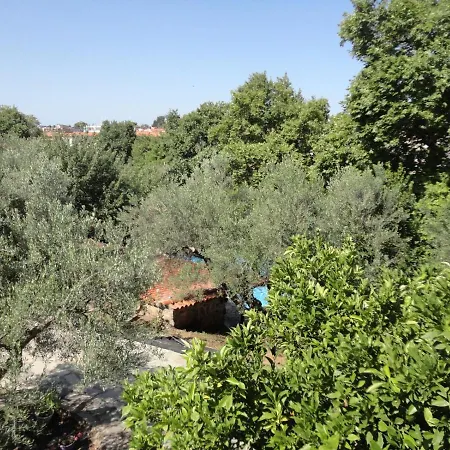 Makis House 4* Никити